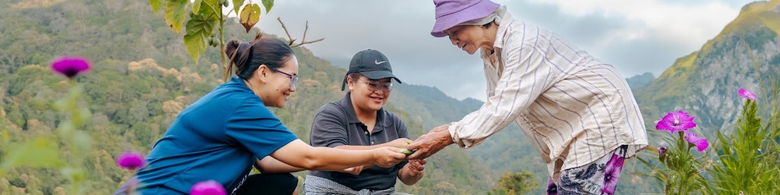3 women holding holding a plant