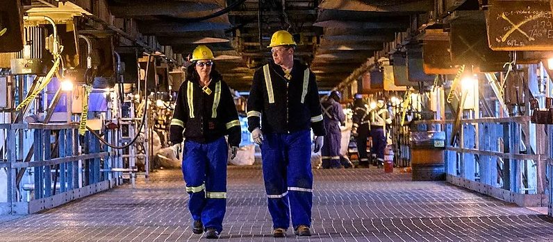 A lady and a man walking in a plant