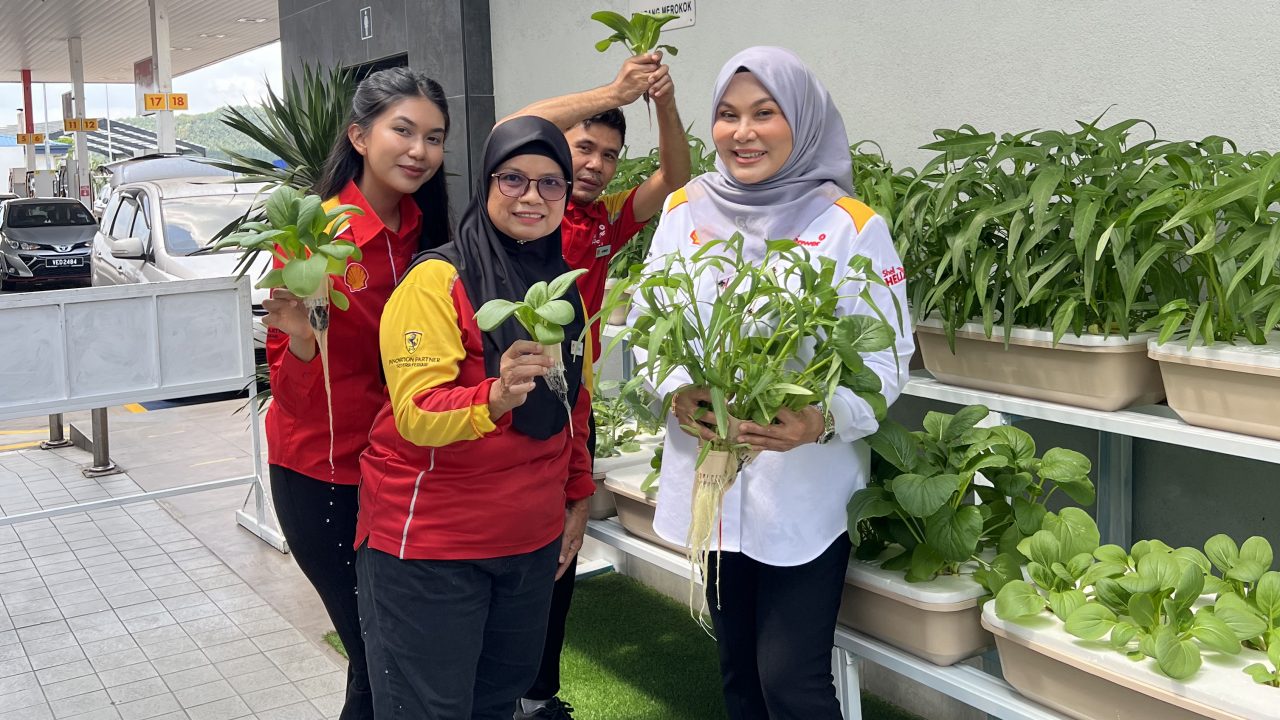 The hydrophonic plant section