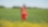An employee stands in a field near a Quest C02 injection well northeast of Edmonton, Alberta in Canada