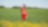 An employee stands in a field near a Quest C02 injection well northeast of Edmonton, Alberta in Canada