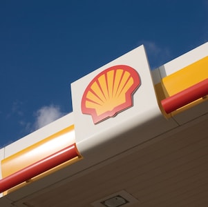 Shell pecten