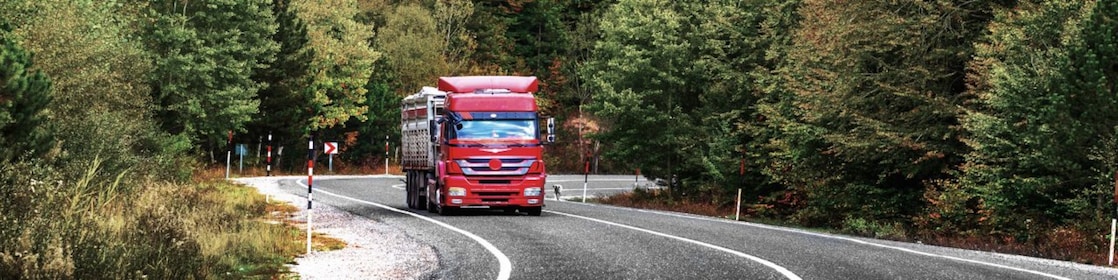 Truck driving through forest