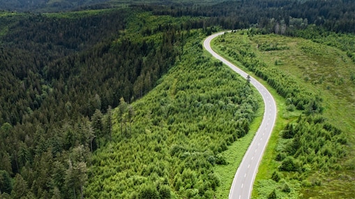 Reforestation project