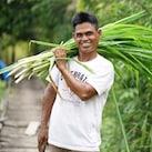 Truck on jungle mountainside