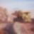 Construction truck hauling rocks