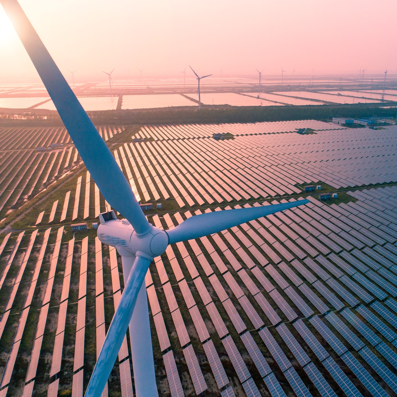 Windmill surrounded by solar panels