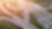 Image of vehicles on motorway/highway with sunset and trees in the background.