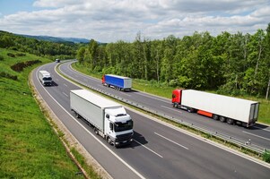 Fleet Management: An Introduction
