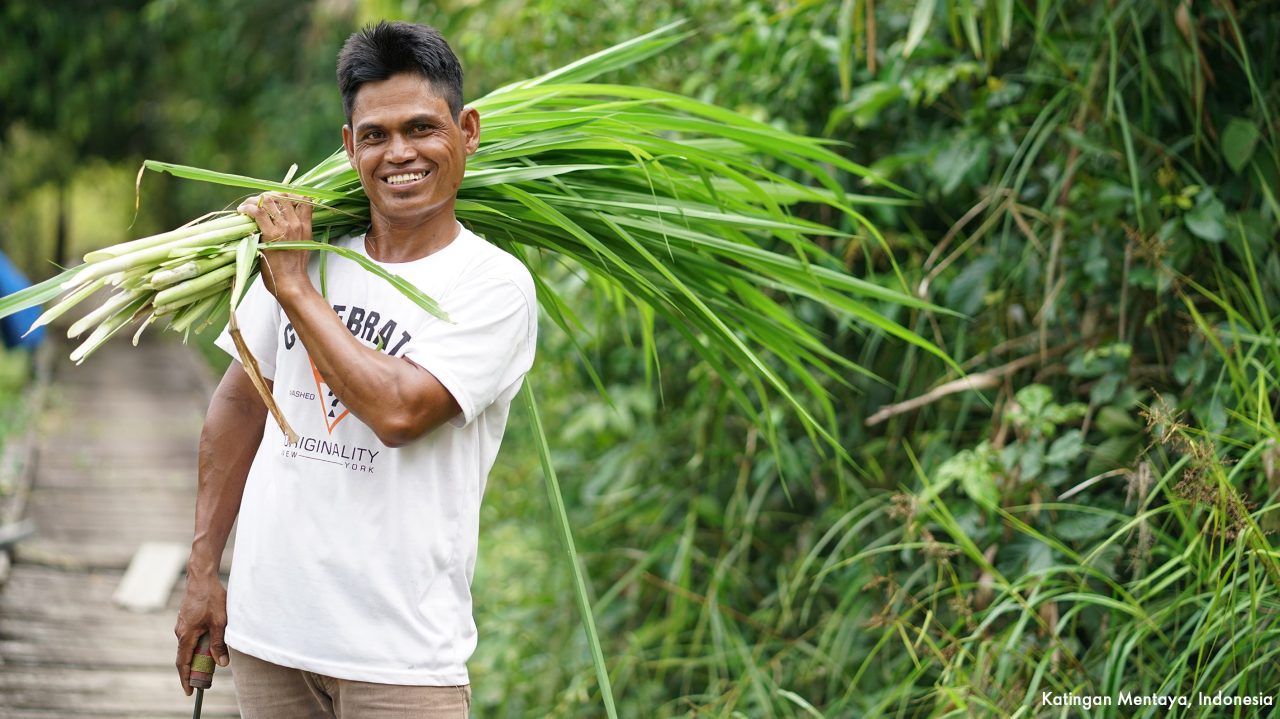 Truck on jungle mountainside