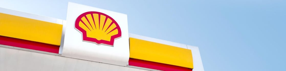 shell pecten with sky and clouds