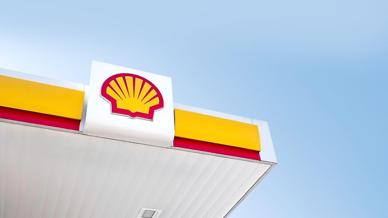 shell pecten with sky and clouds