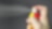 Household Aerosols