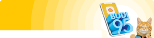 BUDI95 is now on your Shell App