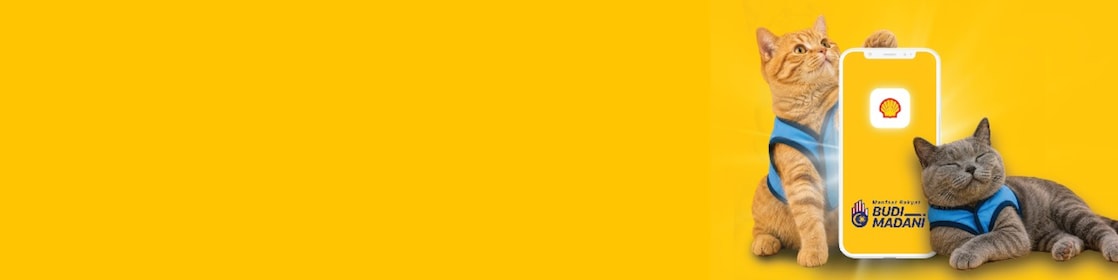 Two cats in blue harnesses beside a smartphone displaying the Shell app on a yellow background.