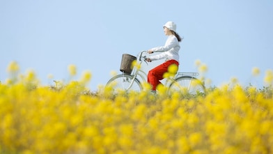 A young woman rides a bicycle through a flowery, summer field