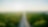 road in between greenery