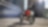 premium biker riding a bike