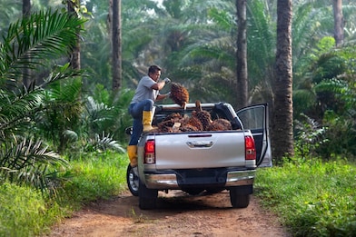 variable loads for light duty trucker which can cause higher engine temperature