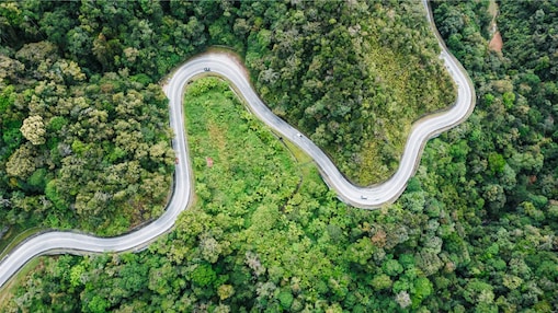 curved road through a jungle