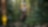 Gunung Pulai Recreational Forest, Johor