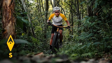 Gunung Pulai Recreational Forest, Johor