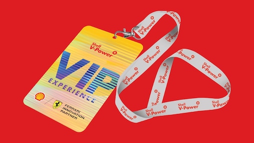 Enjoy a VIP Experience