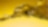 Shell oils and lubricants