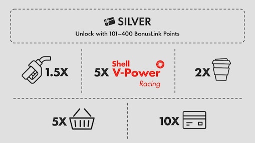 Collect bonuslink point Silver