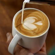 Shell Café key ingredient