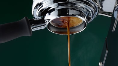 Warm hues, inviting scents and friendly service at Shell Café